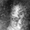 Photo of katherine m.