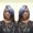 Photo of Safiyyah A.