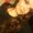 Photo of Elena M.