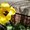 Photo of Delisa M.
