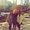 Photo of Catie K.