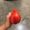 Photo of Keeton C.