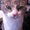 Photo of Memp M.