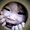 Photo of L T.