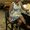 Photo of Sherice H.