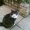 Photo of Qype User (paulin…)