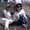 Photo of Liza R.
