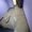 Photo of Farshad F.