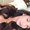 Photo of Nina H.