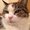 Photo of Millie C.