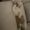 Photo of Will S.