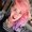 Photo of Zandra M.