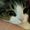 Photo of Cherri G.