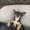 Photo of John H.
