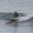 Photo of John K.