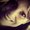 Photo of Heather M.