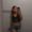 Photo of Reena L.