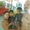 Photo of Tatiana J.