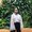Photo of Aisya A.