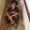 Photo of Reanna H.