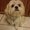 Photo of Debra G.