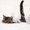 Photo of mik m.