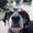 Photo of Mike W.