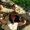 Photo of Qype User (ricard…)