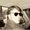 Photo of Kevin S.