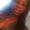 Photo of Ashley A.