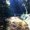 Photo of Nicolle R.