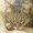 Photo of Qype User (Coryn…)