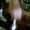 Photo of Qype User (Felici…)