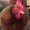 Photo of Jen S.