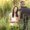 Photo of Charis J.