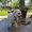 Photo of Harjit M.