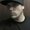 Photo of Rick W.