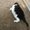Photo of Megwin66 C.