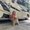 Photo of Megan R.
