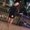 Photo of Daniela D.