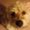 Photo of Joann M.