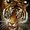 Photo of Qype User (paulra…)
