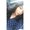 Photo of Diane N.