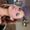 Photo of Lisha K.