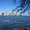Photo of Jen C.