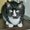 Photo of Qype User (Eule29…)