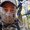 Photo of Rance H.