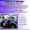 Photo of Armadillo P.