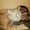 Photo of Rahil N.