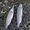 Photo of Taylor M.